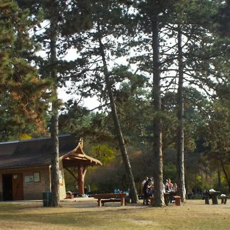 Gyenesi Virag * Gyenesdiás