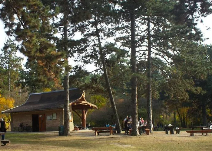 Gyenesi Virag * Gyenesdiás